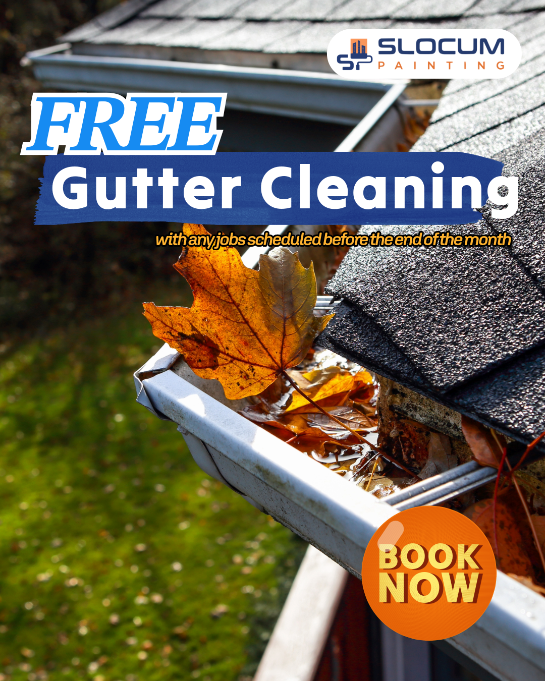 Gutter Cleaning